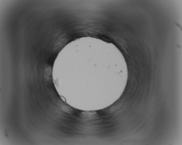 X0000096960480200803071055