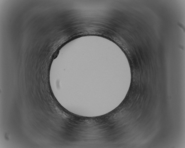 X0000096960481200803071054