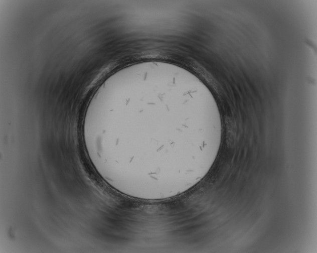 X0000096960482200803071054