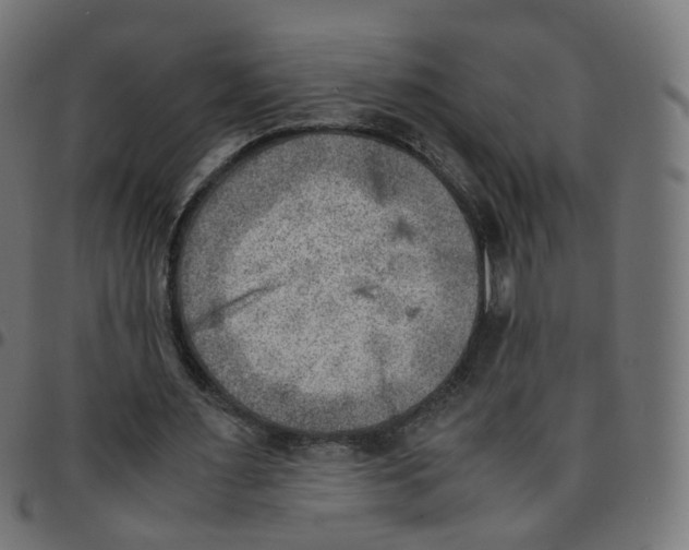 X0000096960483200803071054