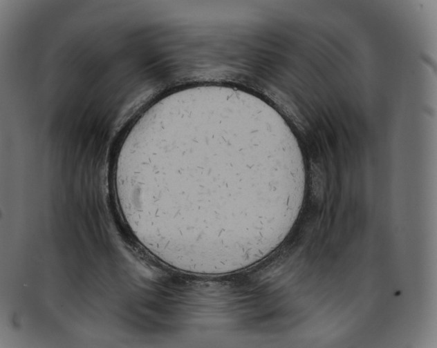 X0000096960486200803071054