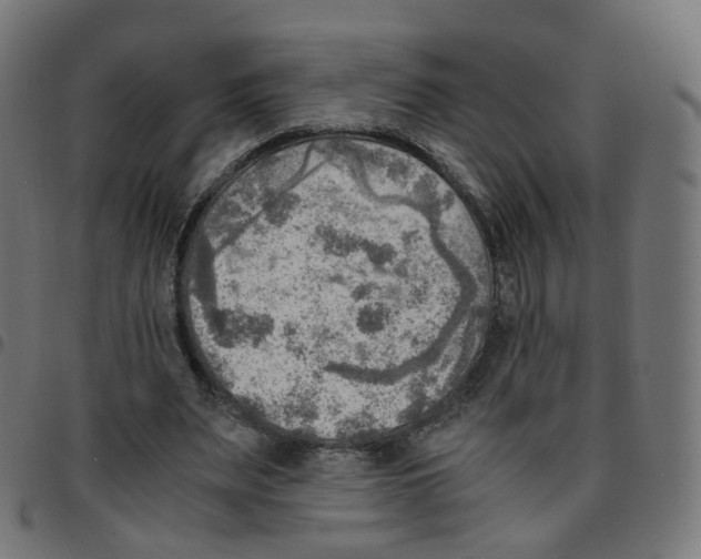 X0000096960487200803071054