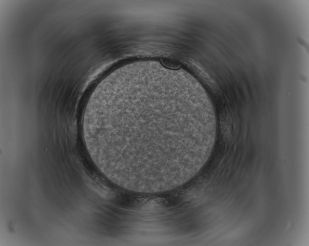 X0000096960488200803071054