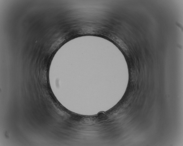 X0000096960489200803071054