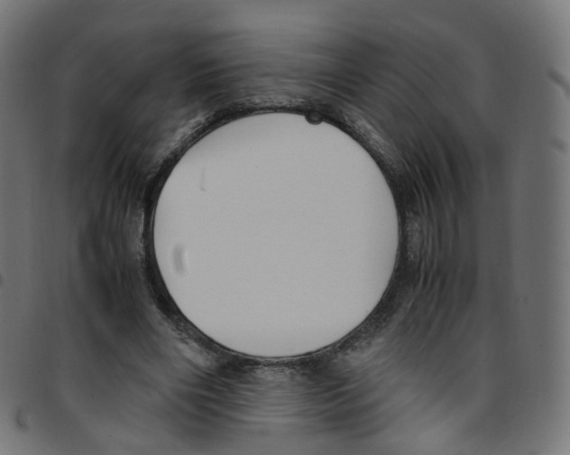 X0000096960490200803071054