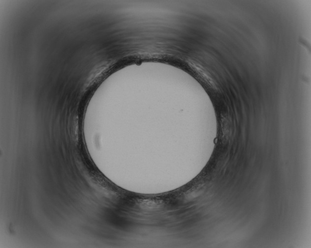 X0000096960494200803071054