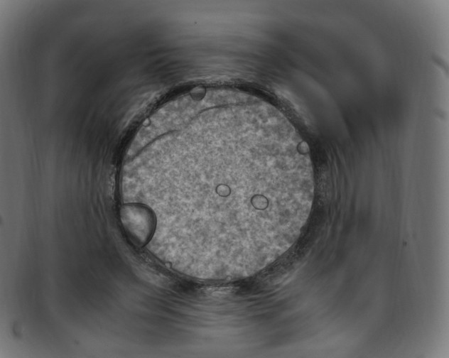 X0000096960495200803071054