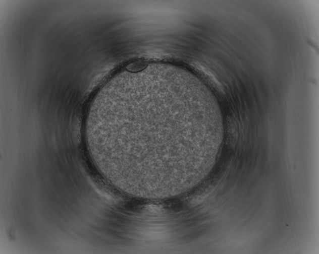 X0000096960496200803071054