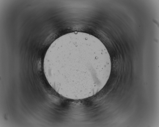 X0000096960502200803071054