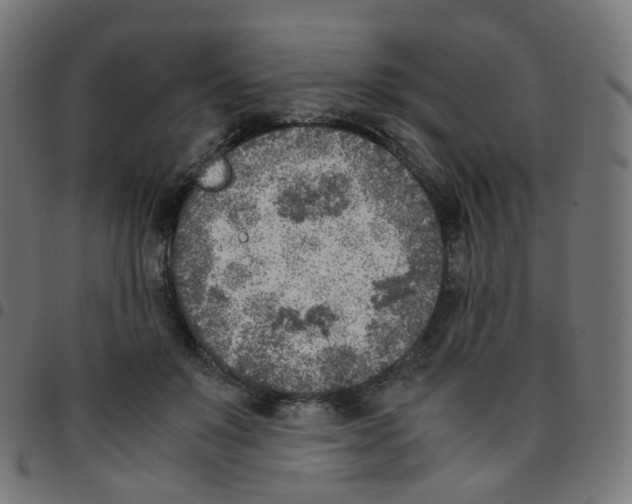 X0000096960503200803071054