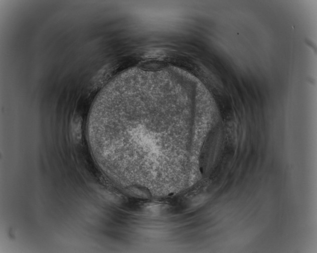 X0000096960504200803071054