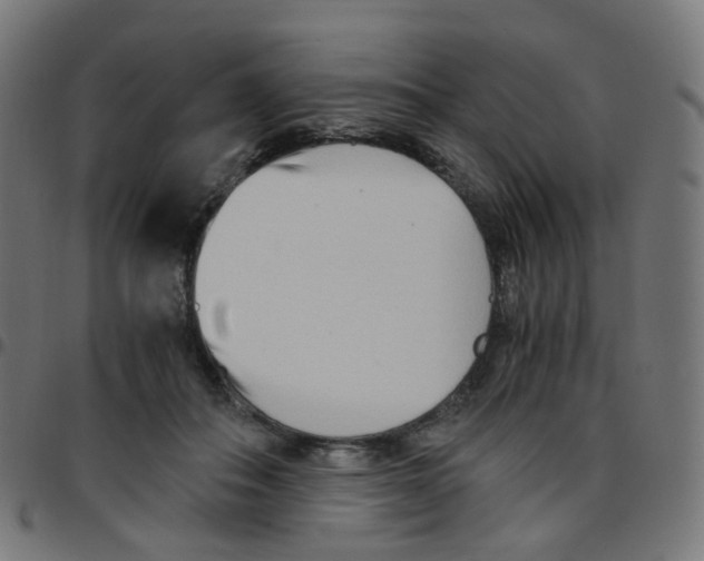 X0000096960506200803071054