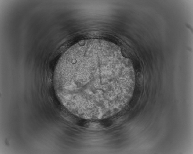 X0000096960507200803071054