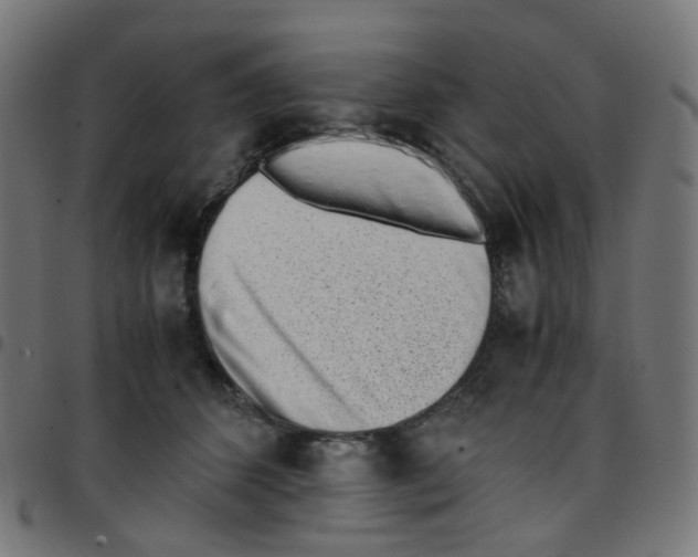 X0000096960512200803071054