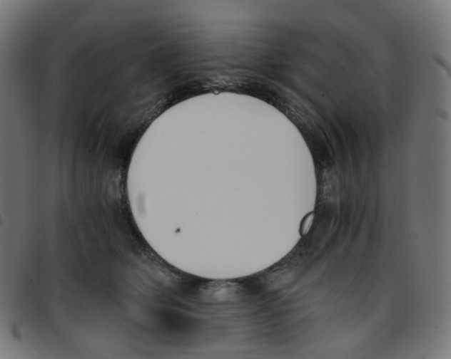 X0000096960514200803071054