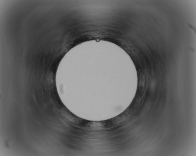 X0000096960518200803071054