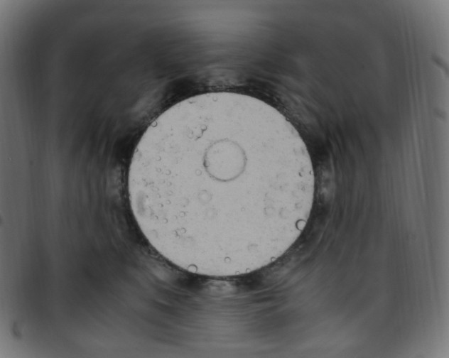 X0000096960519200803071054