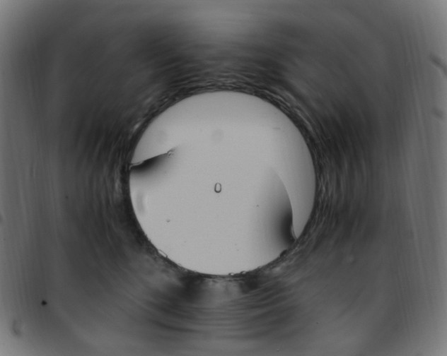 X0000096960520200803071054