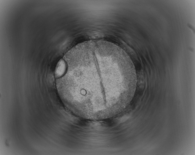 X0000096960523200803071054