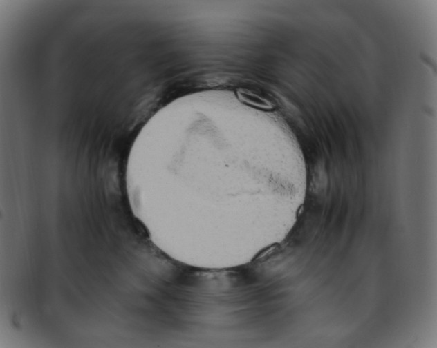 X0000096960524200803071054