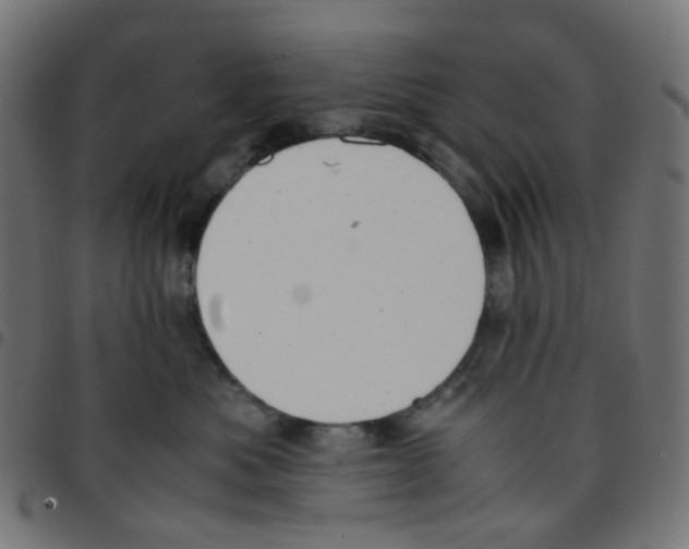 X0000096960525200803071054