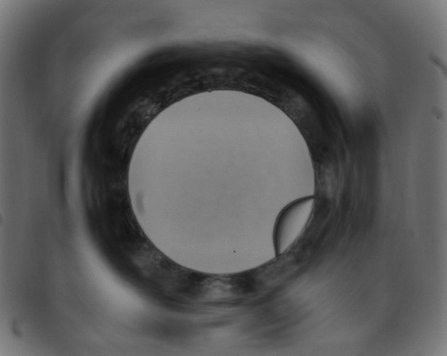 X0000096960526200803071054