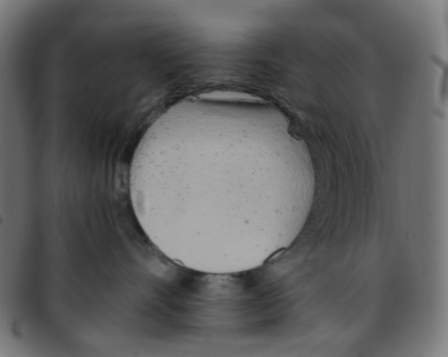 X0000096960528200803071054