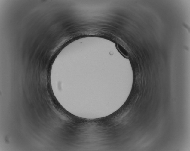 X0000096960530200803071053