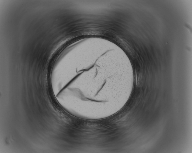 X0000096960531200803071053