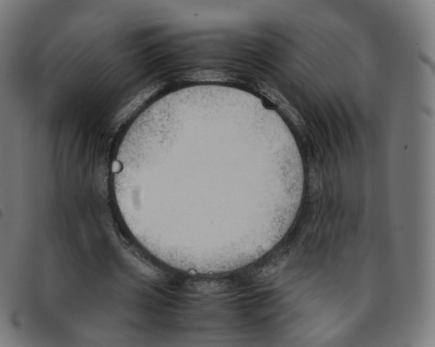 X0000096960533200803071053