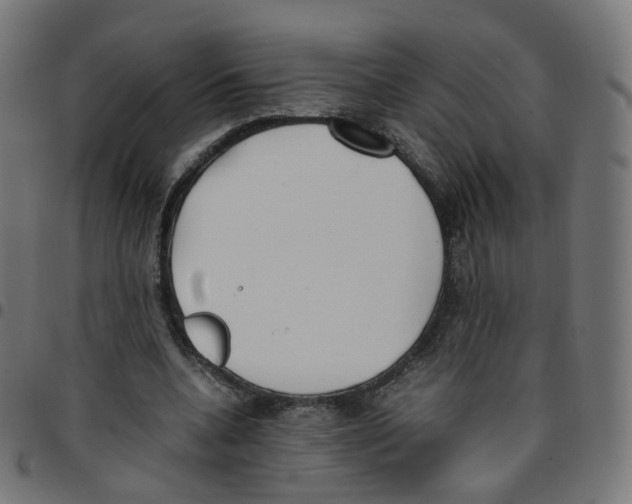 X0000096960536200803071053