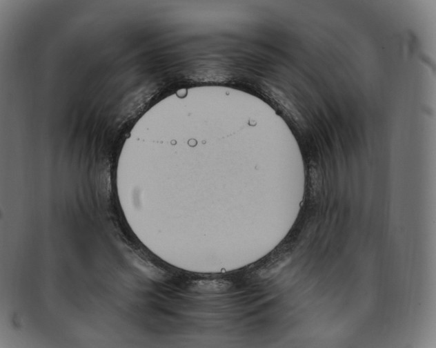 X0000096960541200803071053