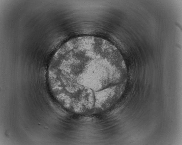 X0000096960542200803071053