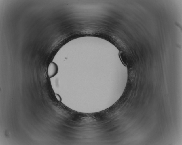 X0000096960544200803071053