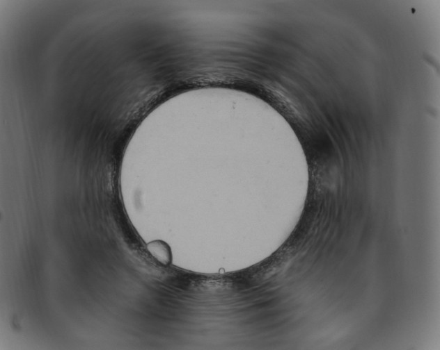 X0000096960546200803071053