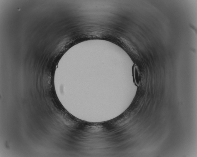 X0000096960548200803071053