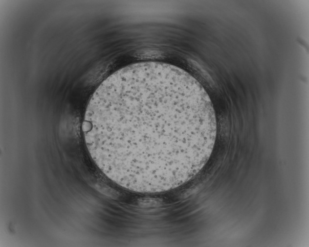 X0000096960549200803071053