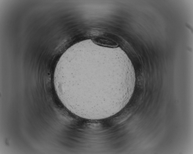 X0000096960552200803071053