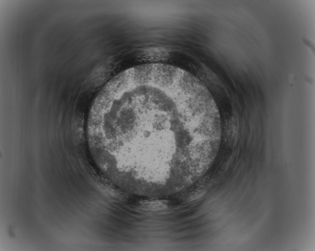 X0000096960553200803071053