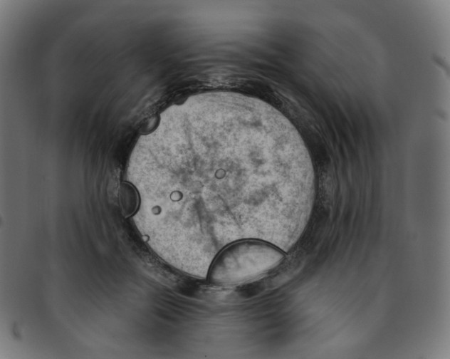 X0000096960554200803071053