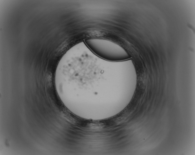 X0000096960556200803071053