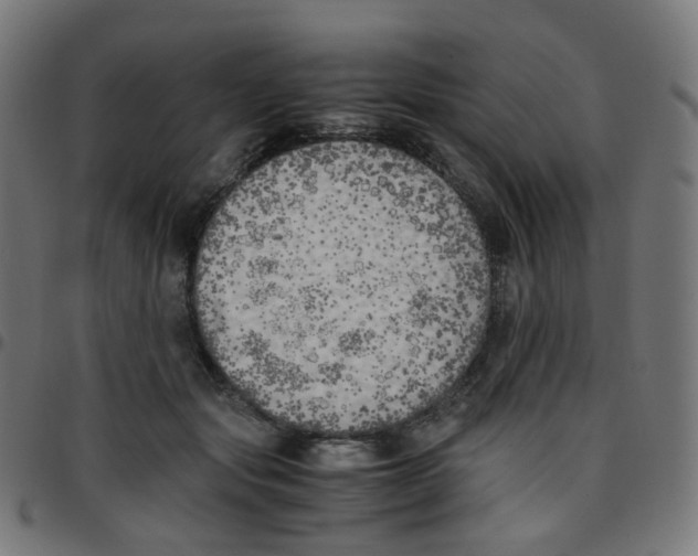 X0000096960557200803071053