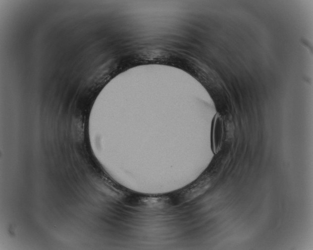 X0000096960558200803071053