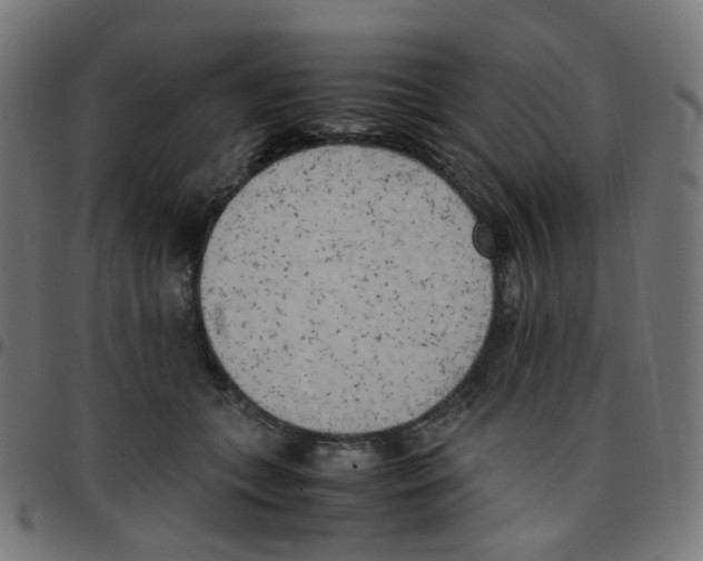 X0000096960559200803071053