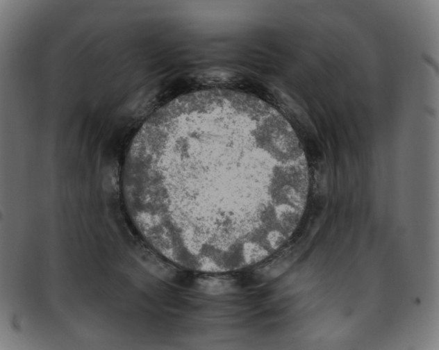 X0000096960561200803071053