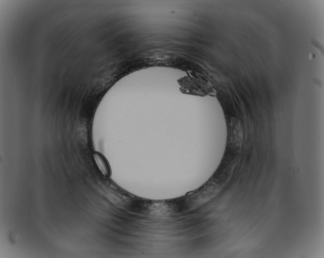 X0000096960562200803071053