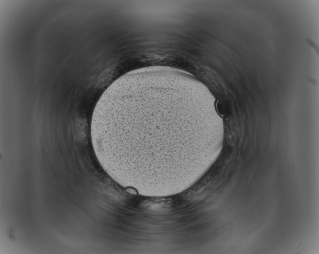 X0000096960563200803071053