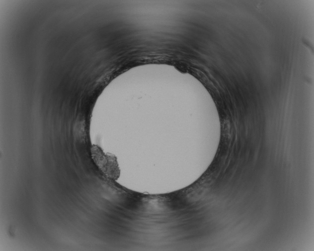 X0000096960564200803071053