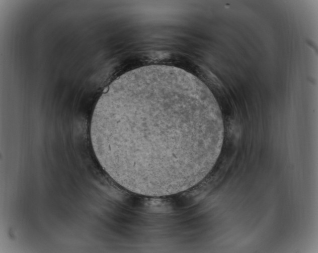 X0000096960565200803071053