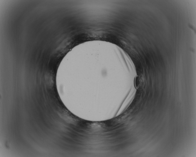 X0000096960566200803071053